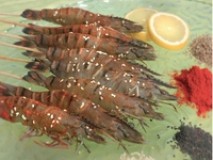 Halal Catering | BBQ Wholesale Centre